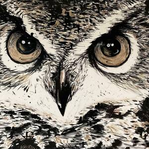 Hibou