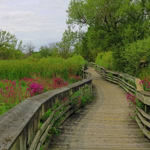 Boardwalk
