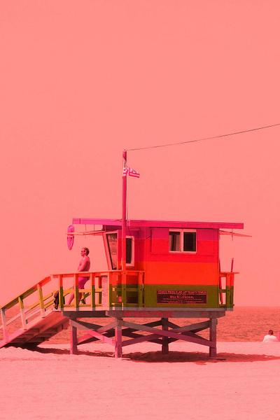 Venice Beach in Pink 2019/2023
