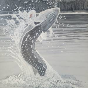 Great White