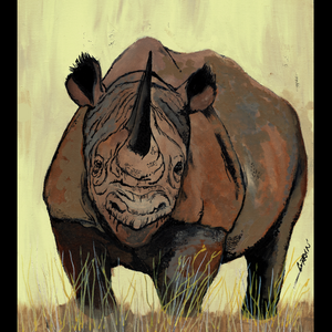 Rhinoceros oil Painting