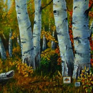 The Birch