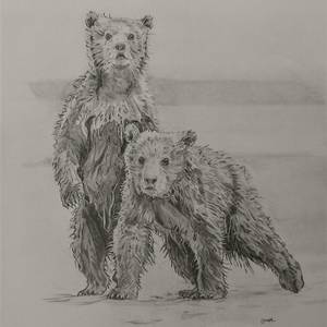Les deux oursons
