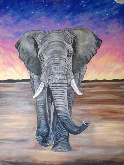 Elephant at twilight