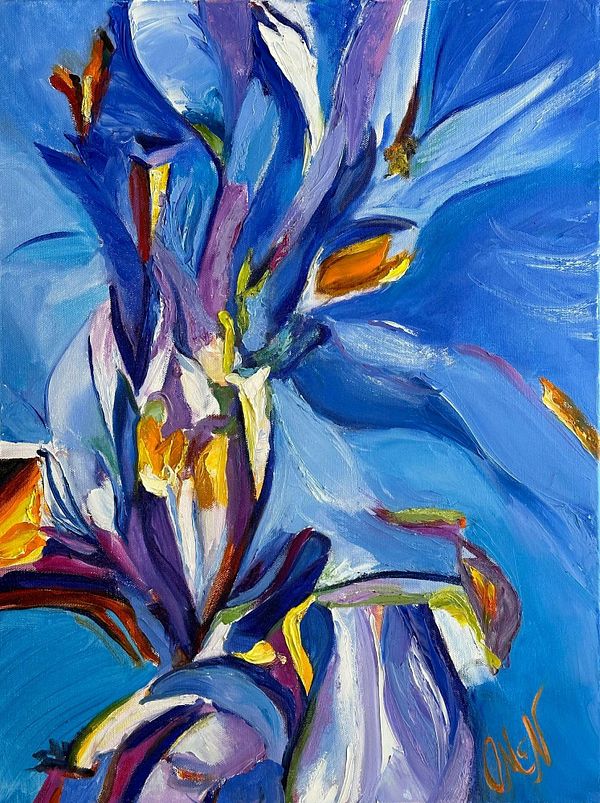 Original Blue Iris Drawing in Colored Pencil , Flower Portrait -   Australia