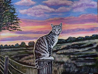 Tabby cat at sunset