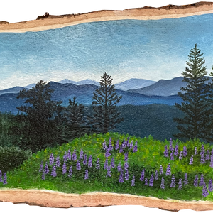 Sierra Meadow