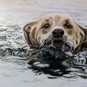 Water Dog
