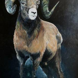 Big horn