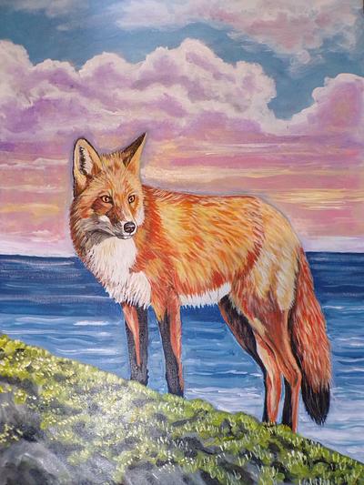 Red fox by the sea