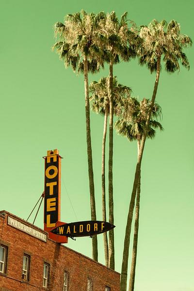 A Waldorf & Palm Trees