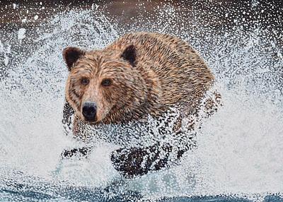 Grizzly Bear Running In The Water