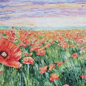 Les coquelicots rouges/ Red poppies