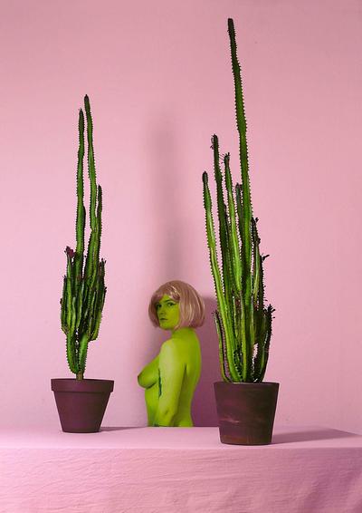 Les Cactus
