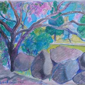 Paysage avec des rochers