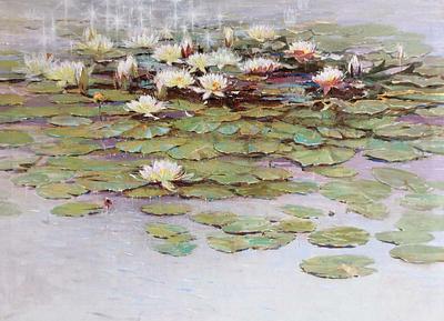 Water lilies on a sunny day.