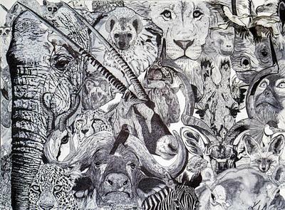 Africa Wild Eyes