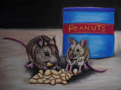 Mice and peanuts