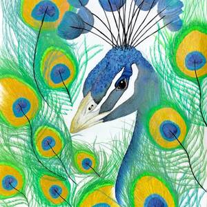 Petunia Peacock