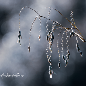 Hanging On For Life