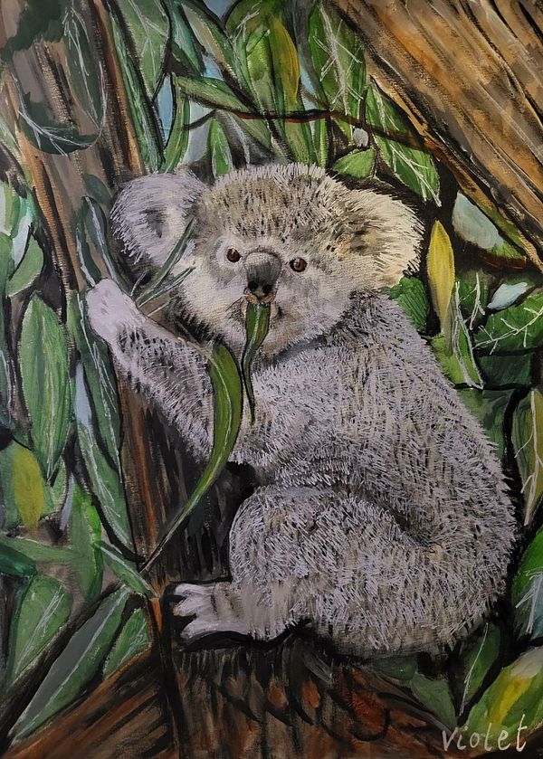 Koala in a Tree - Painting, Acrylic