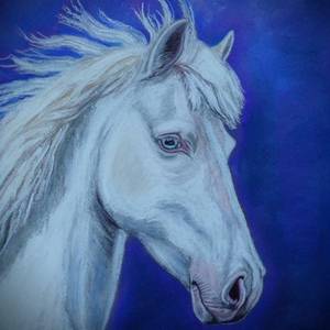 Majestic Horse