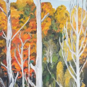 Gatineau fall palette