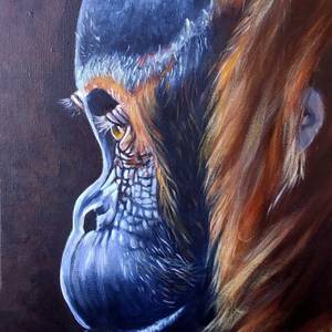 Baby Orang-utan