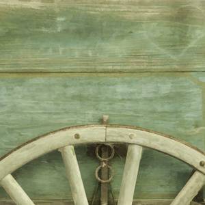 Cart Wheel