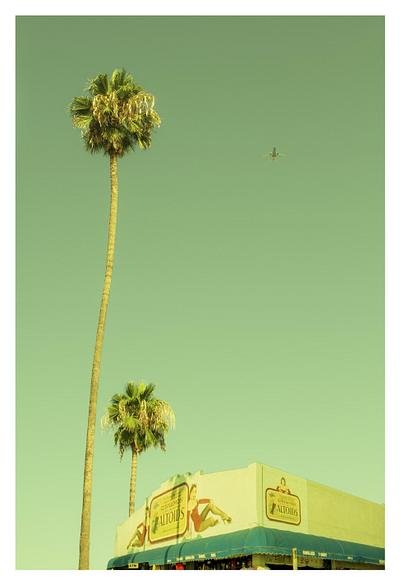 Palm at Venice Beach Boardwalk limited edition of 2