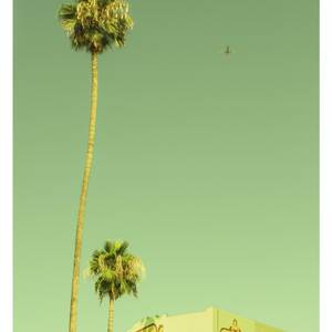 Palm at Venice Beach Boardwalk limited edition of 2