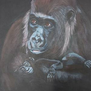 Maman gorille et bébé
