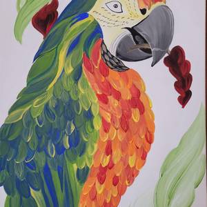 Parrot, nature's colorful wonder