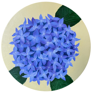 Hydrangea