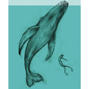 Baleine à bosse, Megaptera novaeangliae