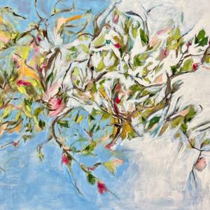 Environmental Patterns