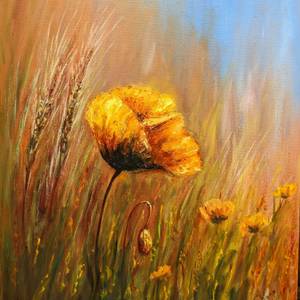 Yellow Field Poppies (sold)
