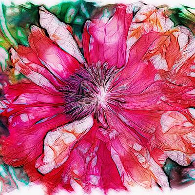 Ephemeral - Flame Poppy Series, Number Six