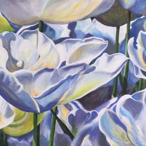 Field of Tulips