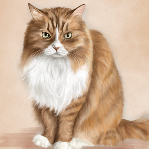 Cat001 in digital file