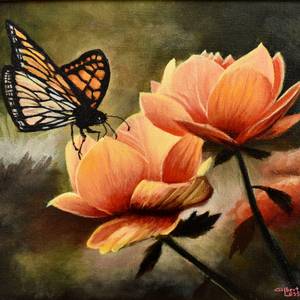 Papillon Monarch sur Fleur Dorée