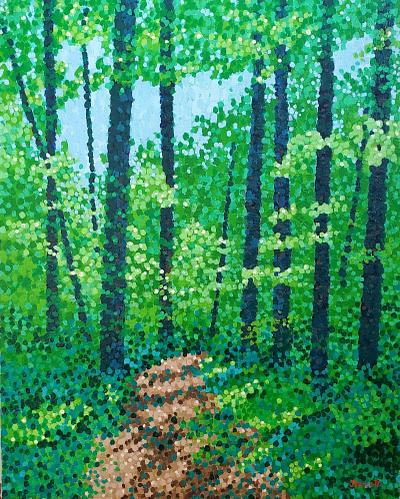 A Walk in the Woods