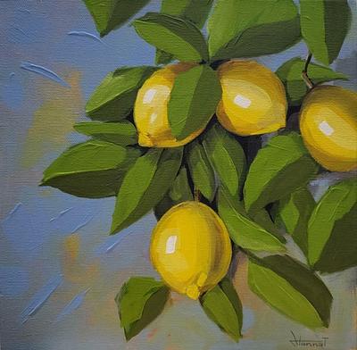 Lemon Tree