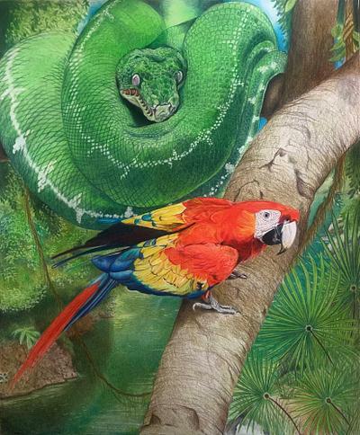 Emerald Tree Boa & Scarlet Macaw