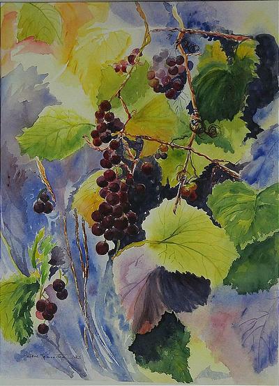 Vendanges, notre récolte