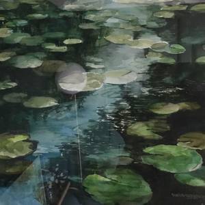 Water lily