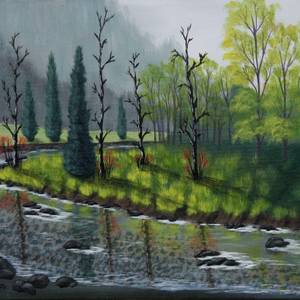 Rocky Stream