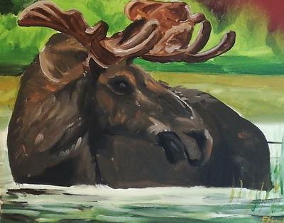 "Wandering Moose"