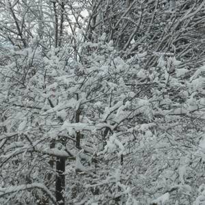 Hiver est arrivé!