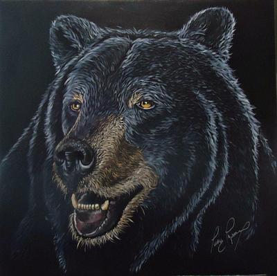 North American Black Bear